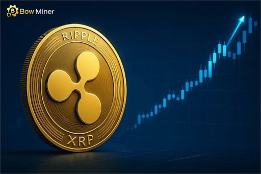 Mine Bitcoin and Dogecoin