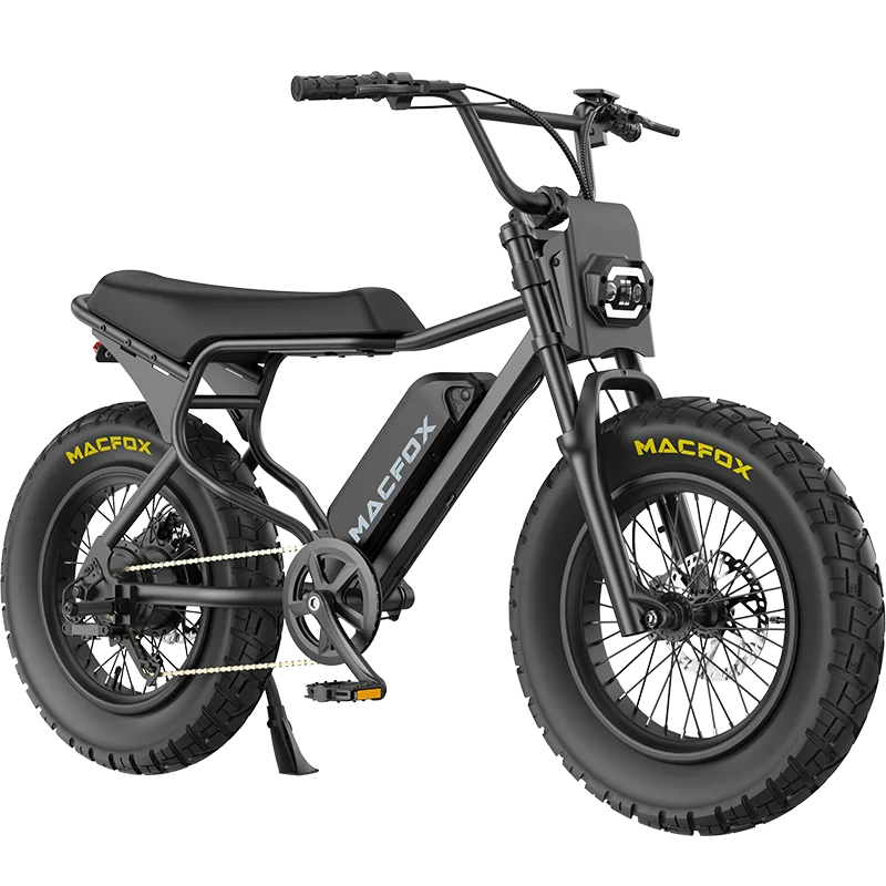 Buy an Electric Bike