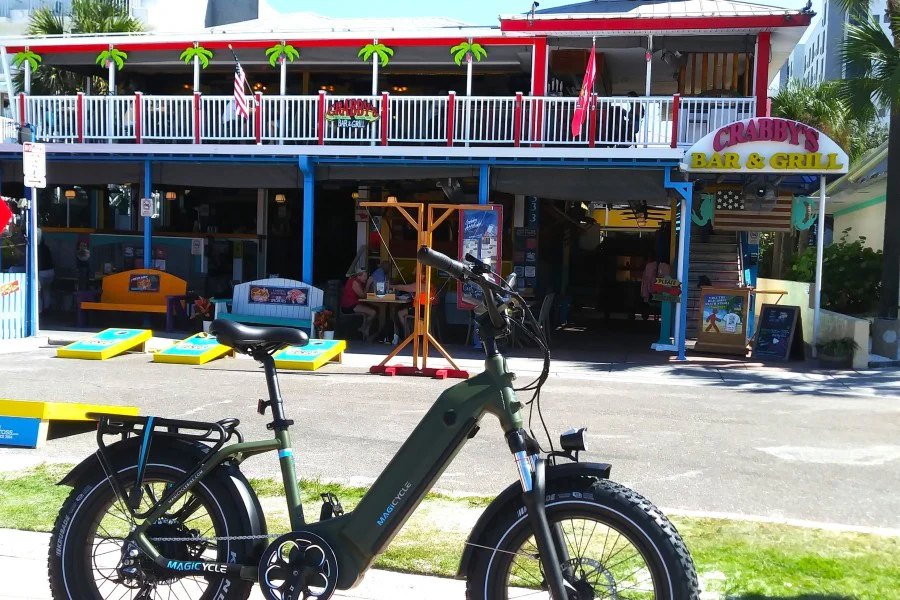 Buy an Electric Bike